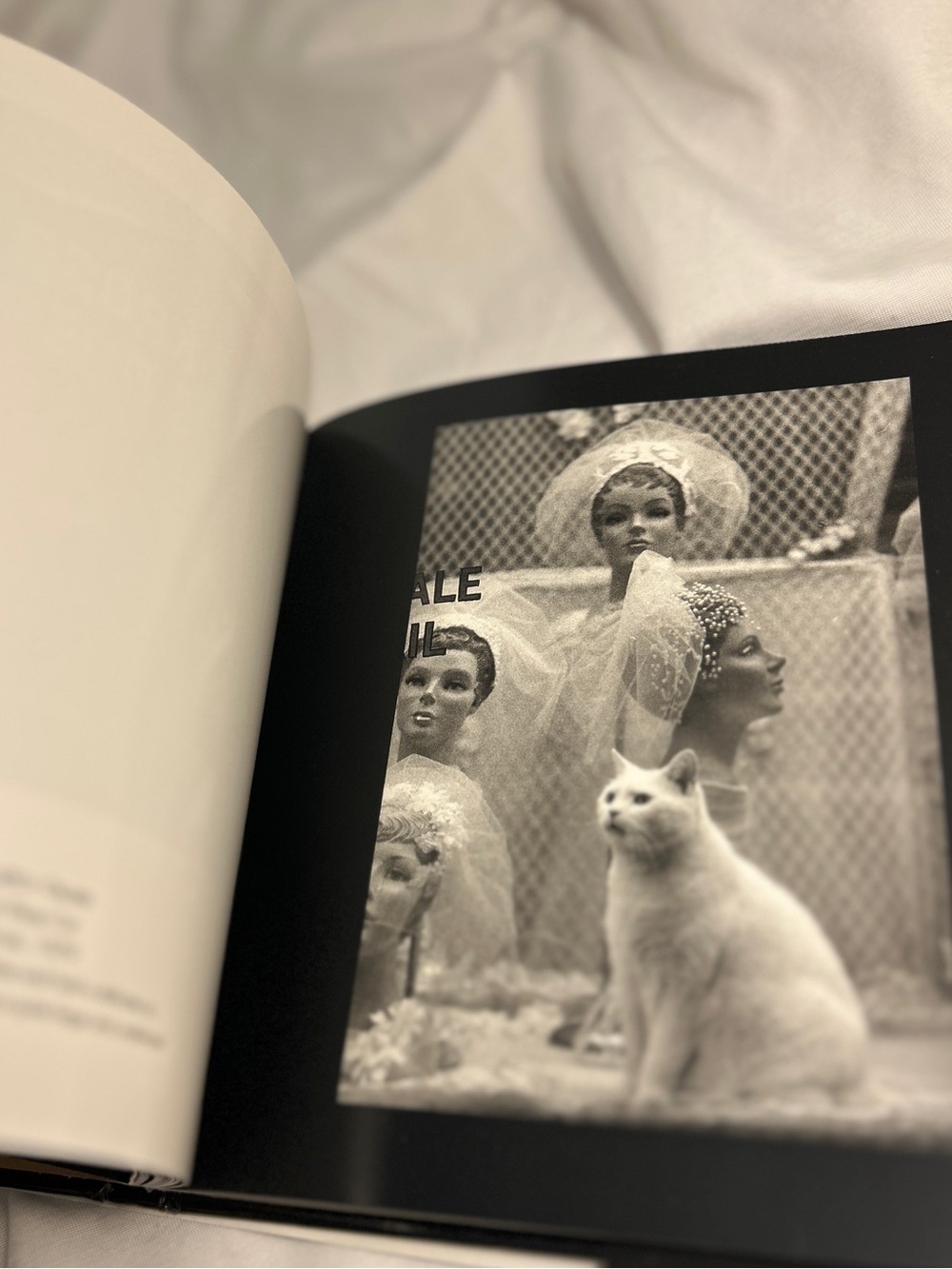 City Cats 90s Hardcover Photo Book Jean-Claude Suarès Italy vintage cat pictures - Picture 12 of 17